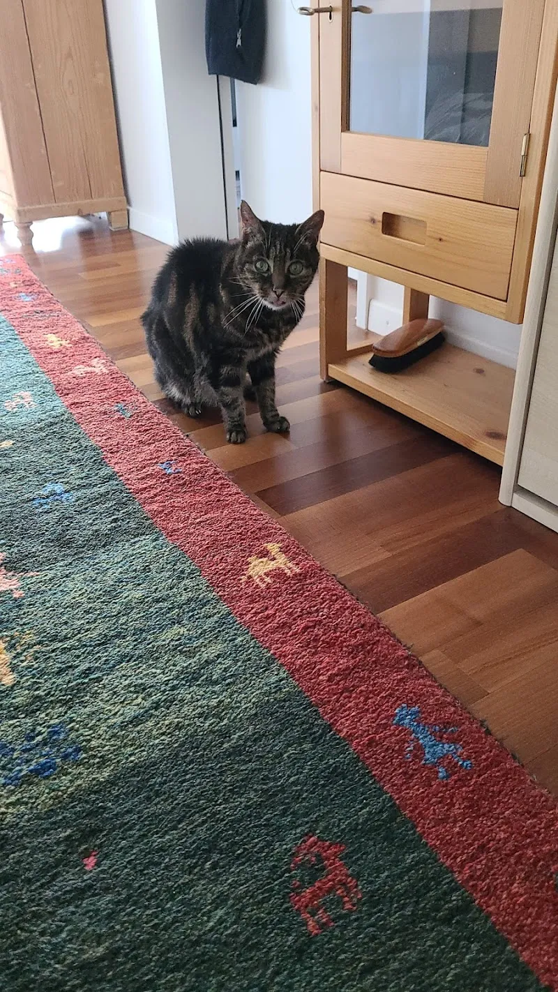 Tierpraxis Hohlenbaum - Schaffhausen — Vétérinaire, Schaffhausen, Schaffhouse. Foto 3