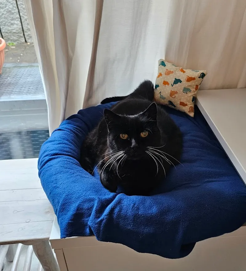 VetTrust Zentrum für Tiermedizin Klettgau — Tierarzt in Neunkirch, Schaffhausen. Bewertung 4.6/5.