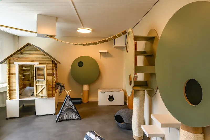 VetTrust Katzenhotel Oensingen — Katzenpension in Oensingen, Solothurn. Bewertung 5.0/5.