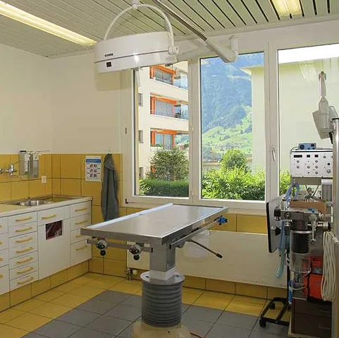 Abgottspon Silvan und Christine — Tierarzt in Schwyz, Schwyz. 