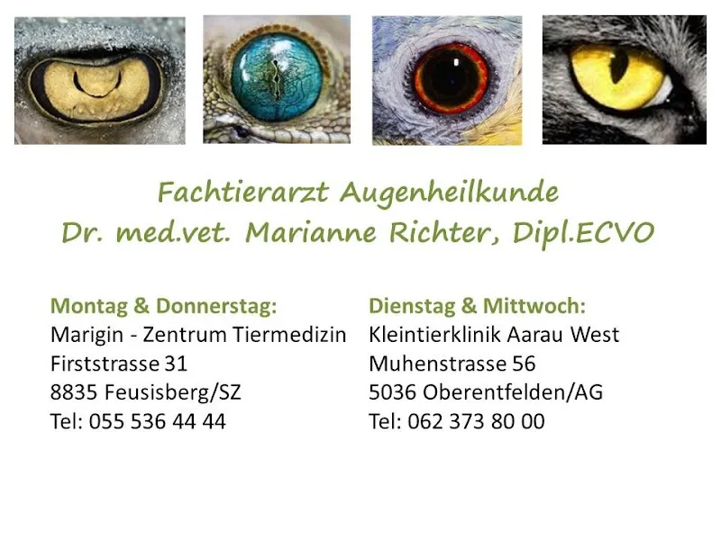 Dr. med. vet. M. Richter, Dipl ECVO, Fachtierarzt Augenheilkunde — Tierarzt, Feusisberg, Schwyz. Foto 3