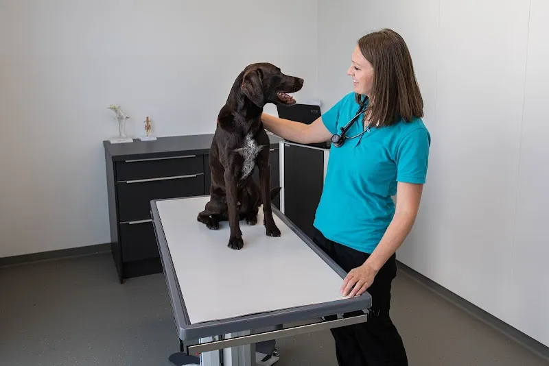 Kleintierpraxis Steinhausen — Veterinarian, Steinhausen, Zug. Foto 3