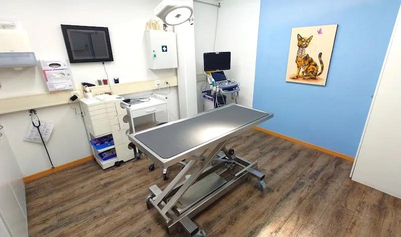 Kleintierpraxis am Obersee GmbH — Tierarzt in Altendorf, Schwyz. Bewertung 4.5/5.