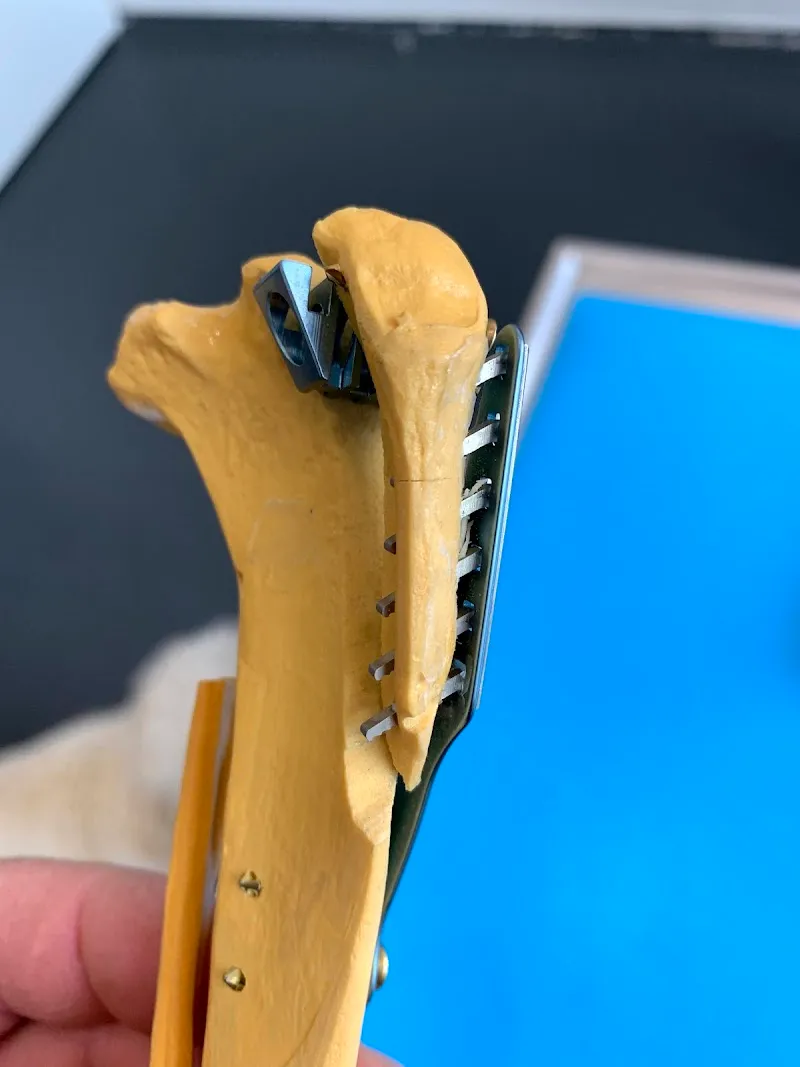 Kleintierpraxis myVets GmbH — Tierarzt, Cham, Zug. Foto 2