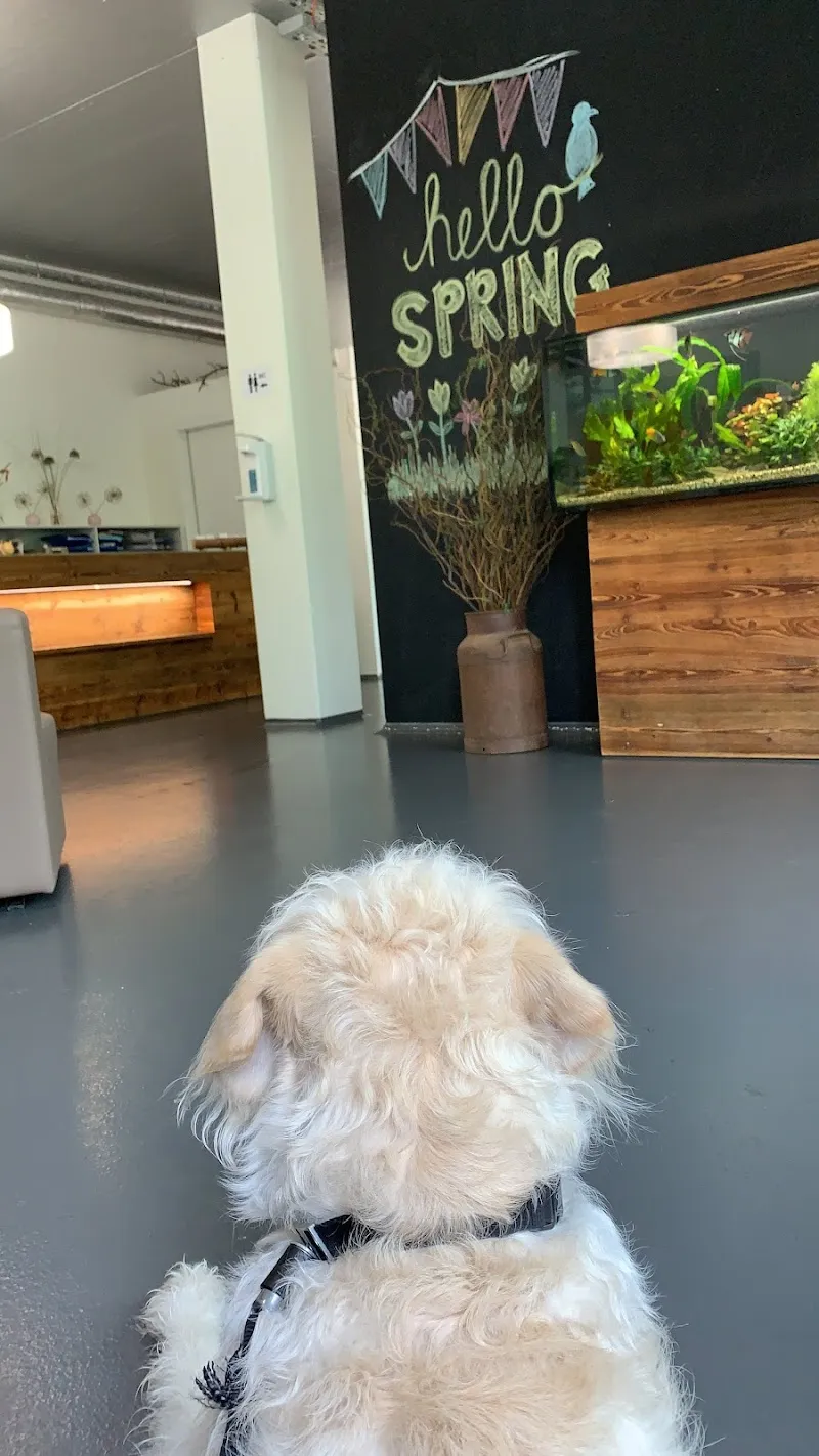 Kleintierpraxis myVets GmbH — Tierarzt, Cham, Zug. Foto 3