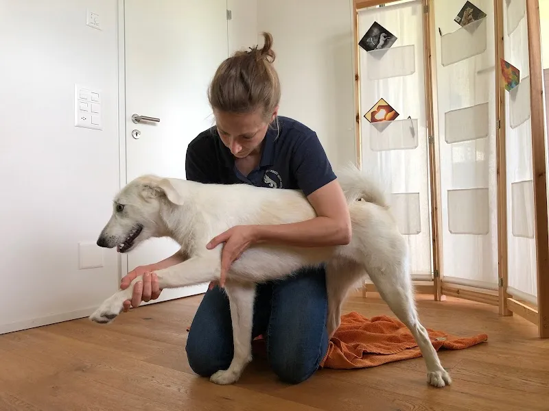 Osteopathie für Tiere Felicitas Fehlmann — Tierdienst, Einsiedeln, Schwyz. Foto 2