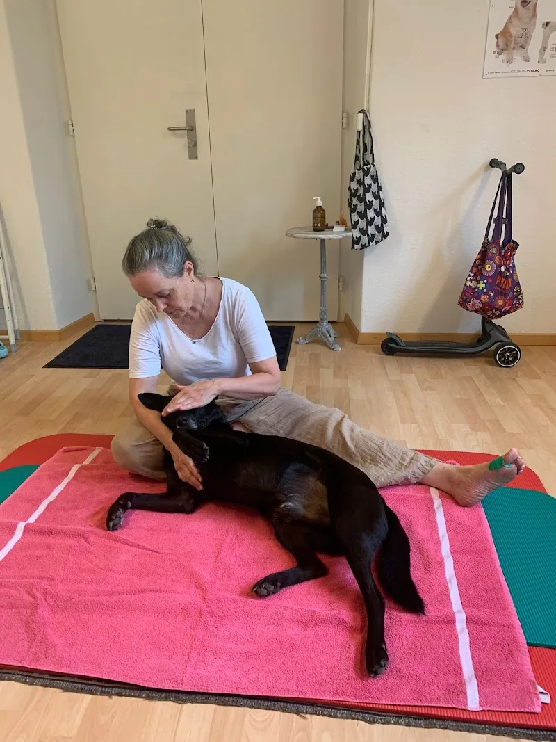 TIERHEILKRAFT Homöopathie & Tiershiatsu — Tierdienste in Walchwil, Zug. Bewertung 5.0/5.