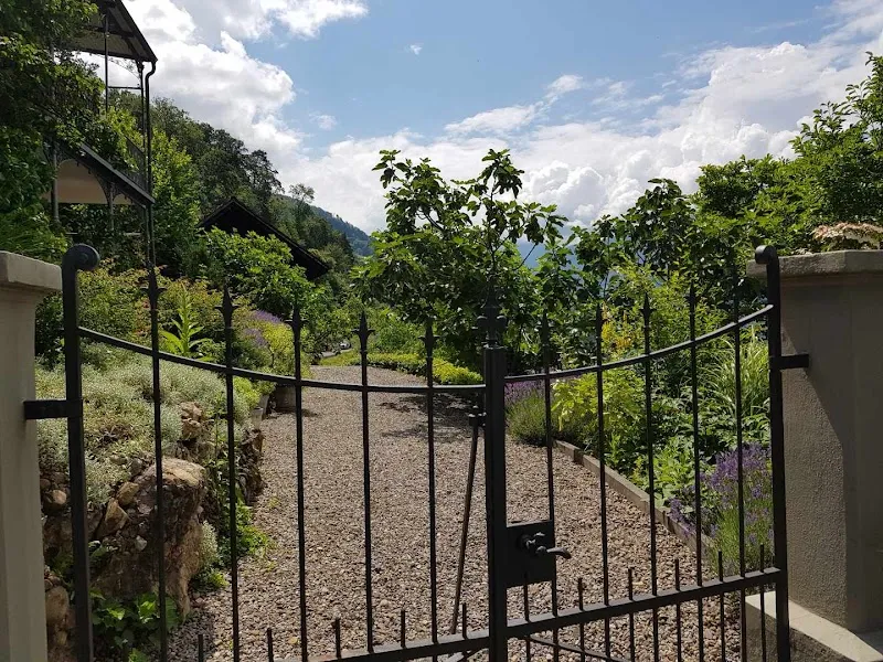 TIERHEILKRAFT Homöopathie & Tiershiatsu — Service animalier, Walchwil, Zoug. Foto 3