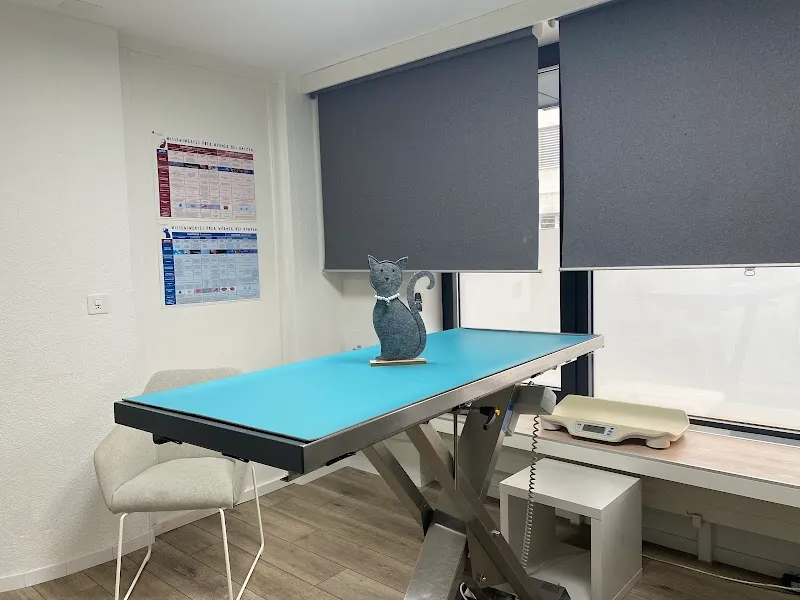 Tierarzt Einsiedeln — Tierarzt in Einsiedeln, Schwyz. Bewertung 4.8/5.