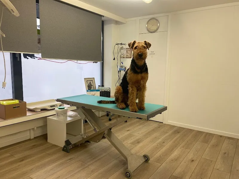 Tierarzt Einsiedeln — Tierarzt, Einsiedeln, Schwyz. Foto 2