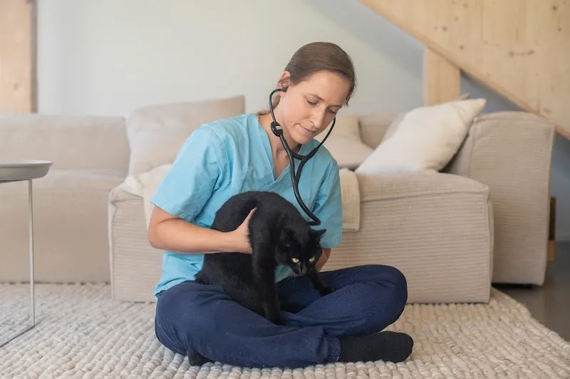 Tierarztmobil Dr. med. vet. Nina Rösinger - Hausbesuche für Katze & Hund — Tierarzt in Einsiedeln, Schwyz. Bewertung 4.9/5.