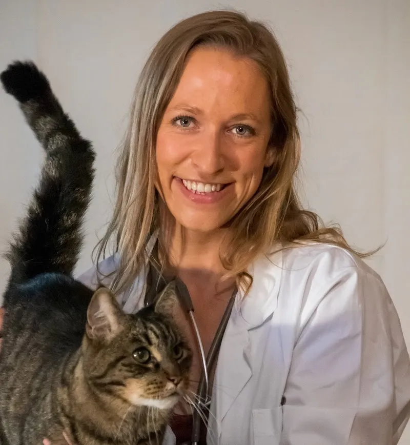 Tierarztmobil Dr. med. vet. Nina Rösinger - Hausbesuche für Katze & Hund — Tierarzt, Einsiedeln, Schwyz. Foto 3