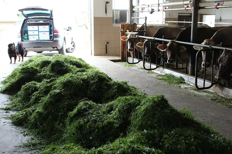 Tierarztpraxis Linth AG — Tierarzt in Tuggen, Schwyz. Bewertung 4.6/5.