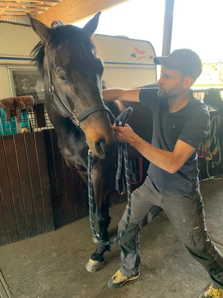 Tierarztpraxis Waldvogel — Tierarzt, Seewen, Schwyz. Foto 3