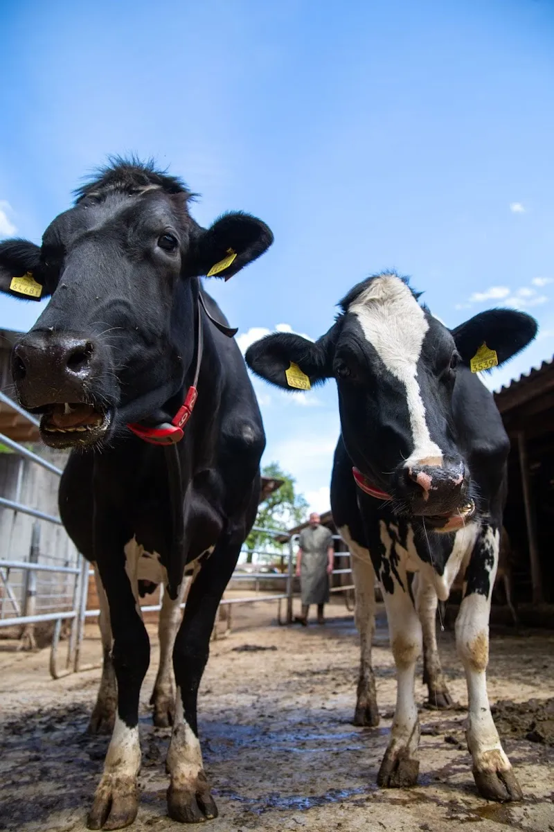Tierarztpraxis Zugerberg/Bär — Tierarzt, Neuägeri, Zug. Foto 3