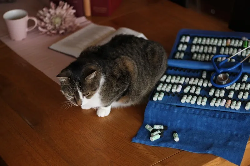 Tierhomöopathie Marietta Birchler — Service animalier, Einsiedeln, Schwyz. Foto 3