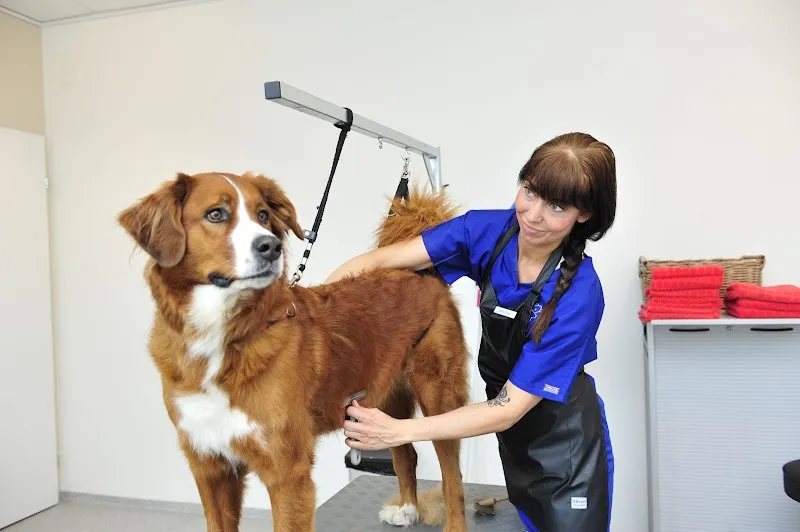 VetTrust Kleintierpraxis Küssnacht — Tierarzt in Küssnacht, Schwyz. Bewertung 4.8/5.