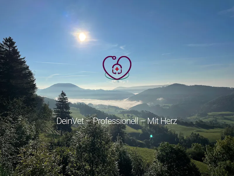 DeinVet - Balsthal — Tierarzt in Balsthal, Solothurn. Bewertung 5.0/5.