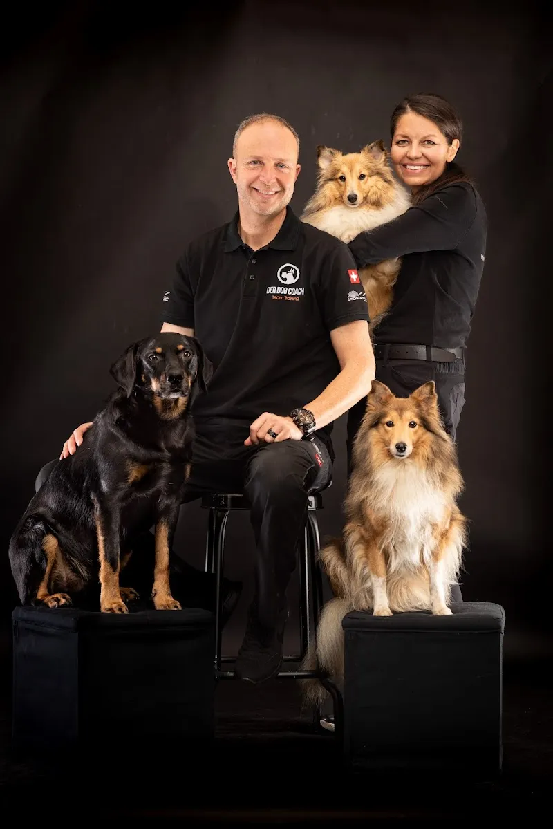 Die Kleintierpraxis Dr. M. Jenny GmbH — Vétérinaire, Sissach, Bâle-Campagne. Foto 3