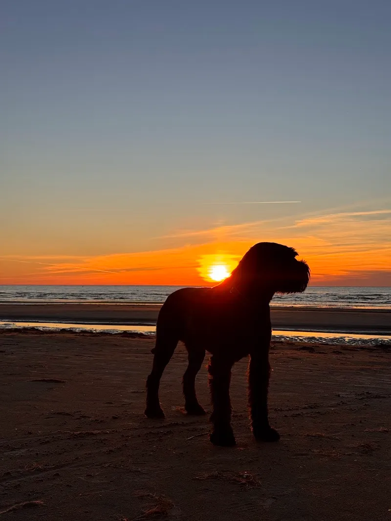 Dr. med. vet. Animed SO Kleintierpraxis und Boutique — Vétérinaire, Solothurn, Soleure. Foto 3
