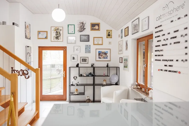 catmosphere Katzenbaden.ch Katzensalon — Katzenpension, Murgenthal, Aargau. Foto 2