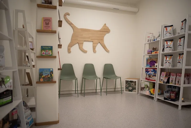 Katzenpraxis FeliVet — Tierarzt in Zuchwil, Solothurn. Bewertung 5.0/5.