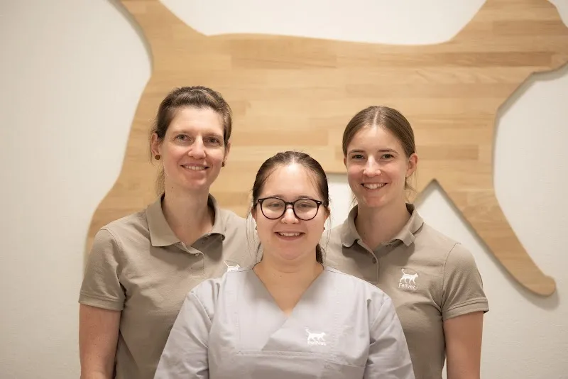 Katzenpraxis FeliVet — Tierarzt, Zuchwil, Solothurn. Foto 2