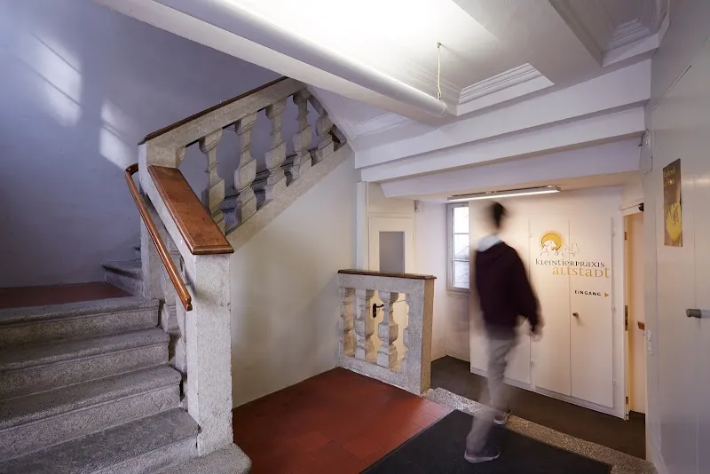 Kleintierpraxis Altstadt — Veterinario, Solothurn, Soletta. Foto 2