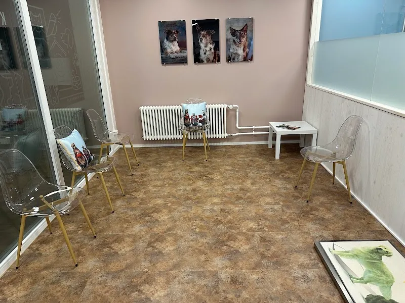 Kleintierpraxis Falkenstein GmbH — Tierarzt, Balsthal, Solothurn. Foto 2