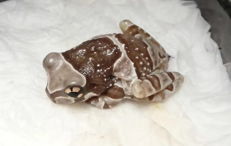 Kleintierpraxis Zur alten Mühle — Vétérinaire, Aesch, Bâle-Campagne. Foto 2