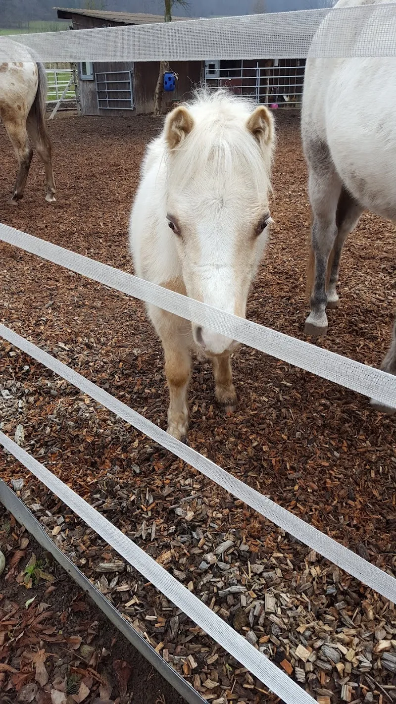 Mr. Dr.med.vet. Peter Düggeli — Tierarzt, Kappel, Solothurn. Foto 2