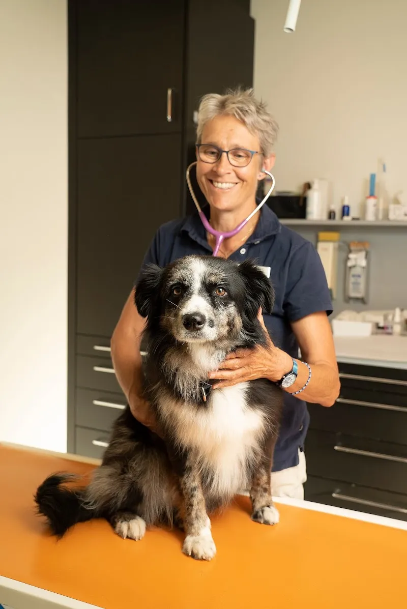 TIERMED AG — Service animalier, Biberist, Soleure. Foto 2