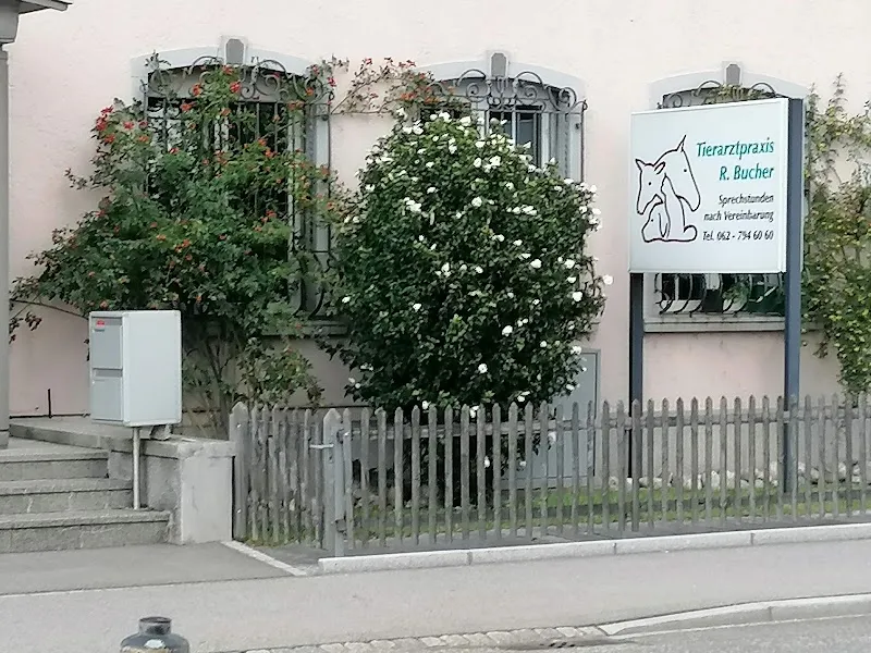 Tierarztpraxis Bucher AG — Tierarzt, Rothrist, Aargau. Foto 3