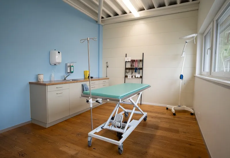 Tierarztpraxis CareVet — Vétérinaire, Trimbach, Soleure. Foto 3