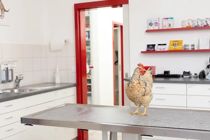 Tierarztpraxis Gretzenbach AG — Tierarzt, Gretzenbach, Solothurn. Foto 2