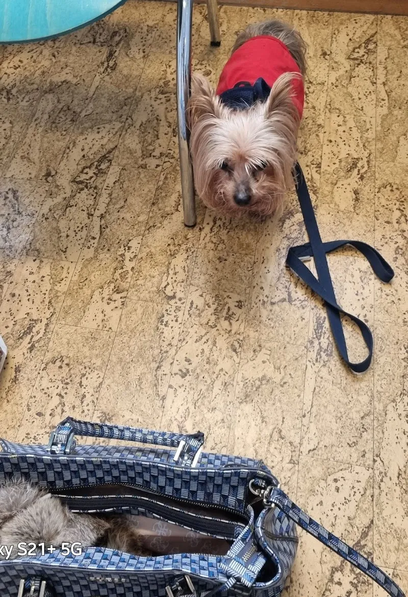 Tierarztpraxis Keller — Tierarzt in Grenchen, Solothurn. Bewertung 4.5/5.