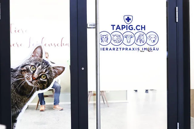 Tierarztpraxis im Gäu GmbH — Tierarzt in Egerkingen, Solothurn. Bewertung 4.9/5.