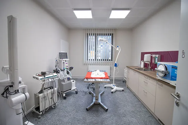 Tierarztpraxis im Gäu GmbH — Vétérinaire, Egerkingen, Soleure. Foto 2