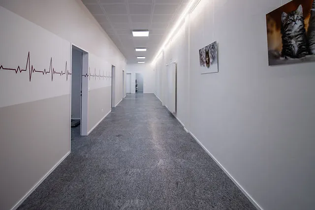 Tierarztpraxis im Gäu GmbH — Vétérinaire, Egerkingen, Soleure. Foto 3