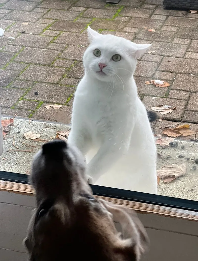 Tiergesundheitszentrum AM BLAUEN in Dornach / SO — Tierarzt in Dornach, Solothurn. Bewertung 4.8/5.
