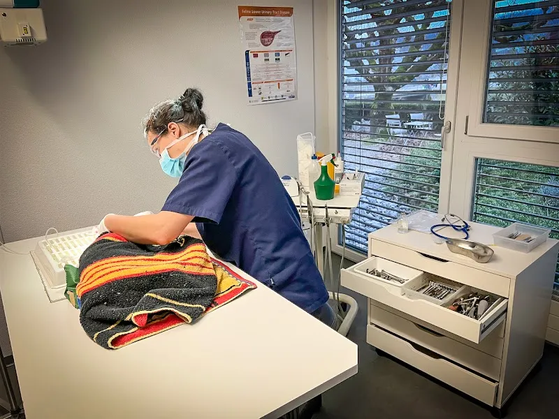 Tiermedizinisches Zentrum Bornblick — Tierarzt, Olten, Solothurn. Foto 3