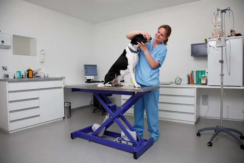 VetTrust Kleintierpraxis Mühlebach Oftringen — Tierarzt, Oftringen, Aargau. Foto 3