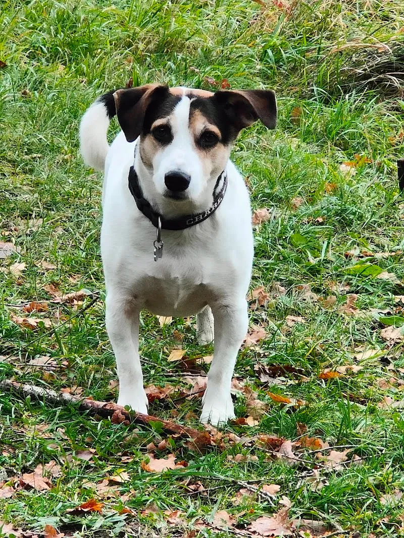 VetTrust Kleintierpraxis Oensingen — Tierarzt, Oensingen, Solothurn. Foto 3