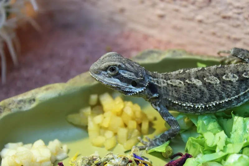 neuhaus.tierärzte.team — Vétérinaire, Solothurn, Soleure. Foto 2