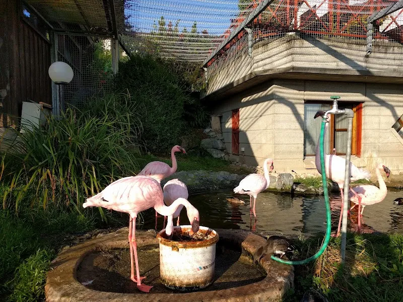 Alpstein-Tierarztpraxis — Tierarzt in Uzwil, St. Gallen. Bewertung 4.7/5.