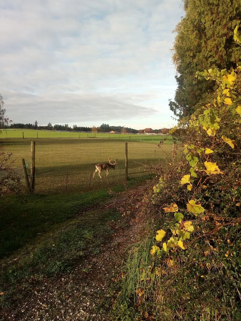 Dr. med. vet. Vroni Jeker — Tierarzt in Rapperswil, Bern. Bewertung 4.3/5.