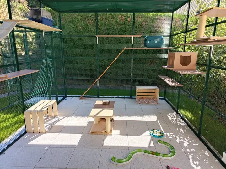 Artemis & CO - Hôtel et pension pour chats, cat-sitting et pet-sitting — Katzenpension in Etagnières, Waadt. Bewertung 5.0/5.