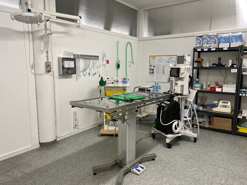 Kleintierklinik Tony Flury — Veterinarian, Sitterdorf, Thurgau. Foto 2