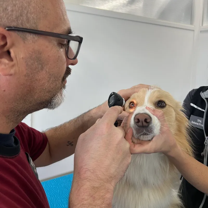 Kleintierklinik Tony Flury — Veterinarian, Sitterdorf, Thurgau. Foto 3