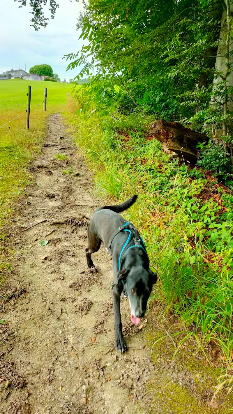 Kleintierklinik am See — Tierarzt, Horn, Thurgau. Foto 2
